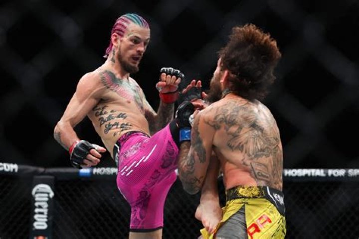 Unveiling The Secrets Of Sean O'Malley's Rib Tattoo: Insights And Revelations