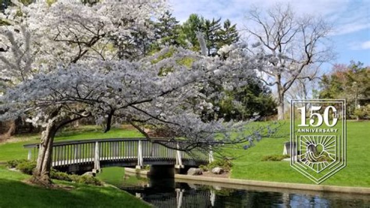 Unveiling The True Meaning Of "Nothing Is Worth The Risk": Discoveries And Insights