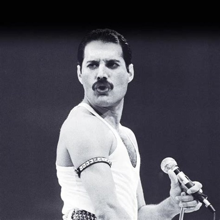 VivaBlog | Freddie Mercury - Bio, Age, net worth, height, Wiki, Facts and Family