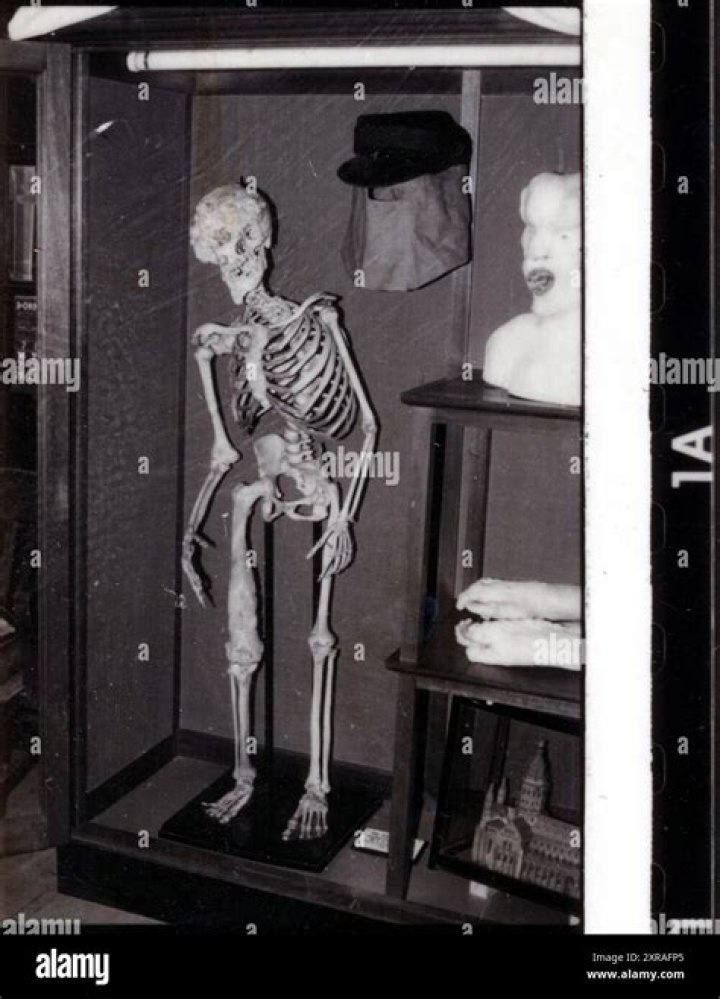 VivaBlog | John Carey - Bio, Age, Wiki, Facts and Family