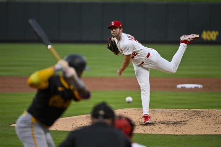 What Fans Need To Know