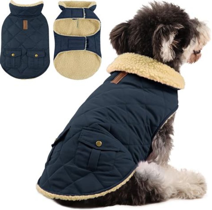XS Dog Coats Unveiled For Optimal Canine Comfort